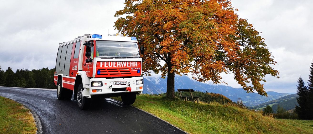 Bild enthält, Transportation, Truck, Vehicle, Bench, Furniture, Plant, Tree, Machine, Wheel