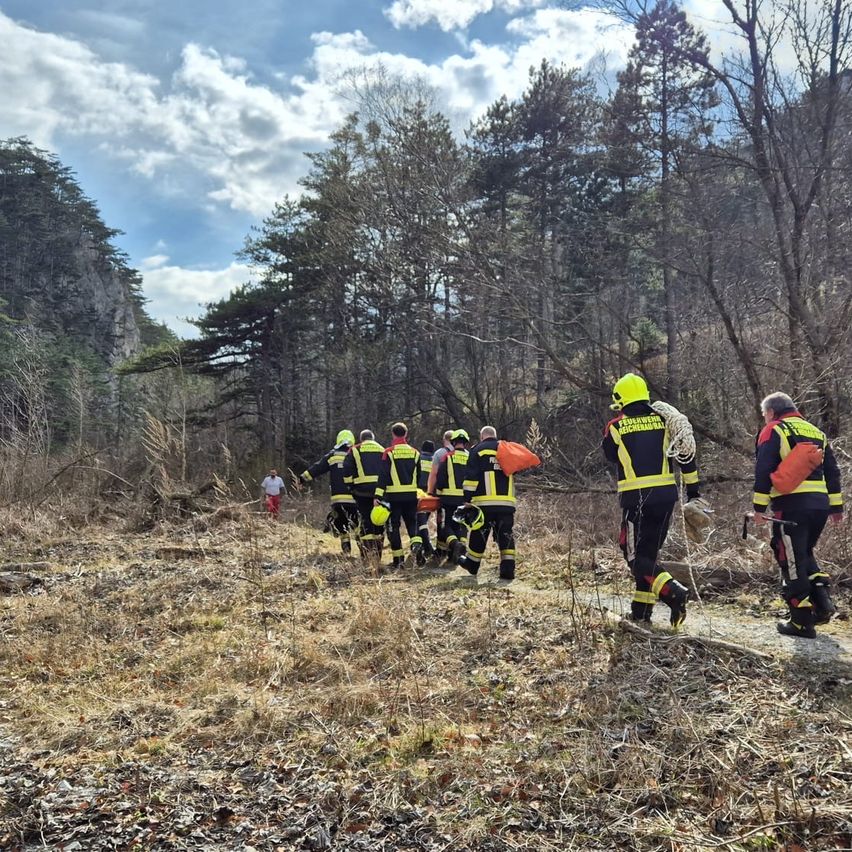 Eine Gruppe von Feuerwehrleuten geht in einem bewaldeten Gebiet, eine Person trägt eine Trage.
