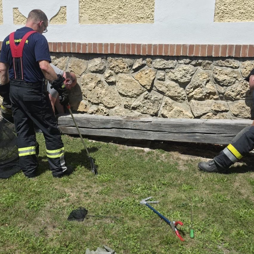 Zwei Feuerwehrleute arbeiten an einer Steinmauer, einer hält ein Werkzeug und der andere beugt sich vor. Ein Holzbrett liegt auf dem Boden.