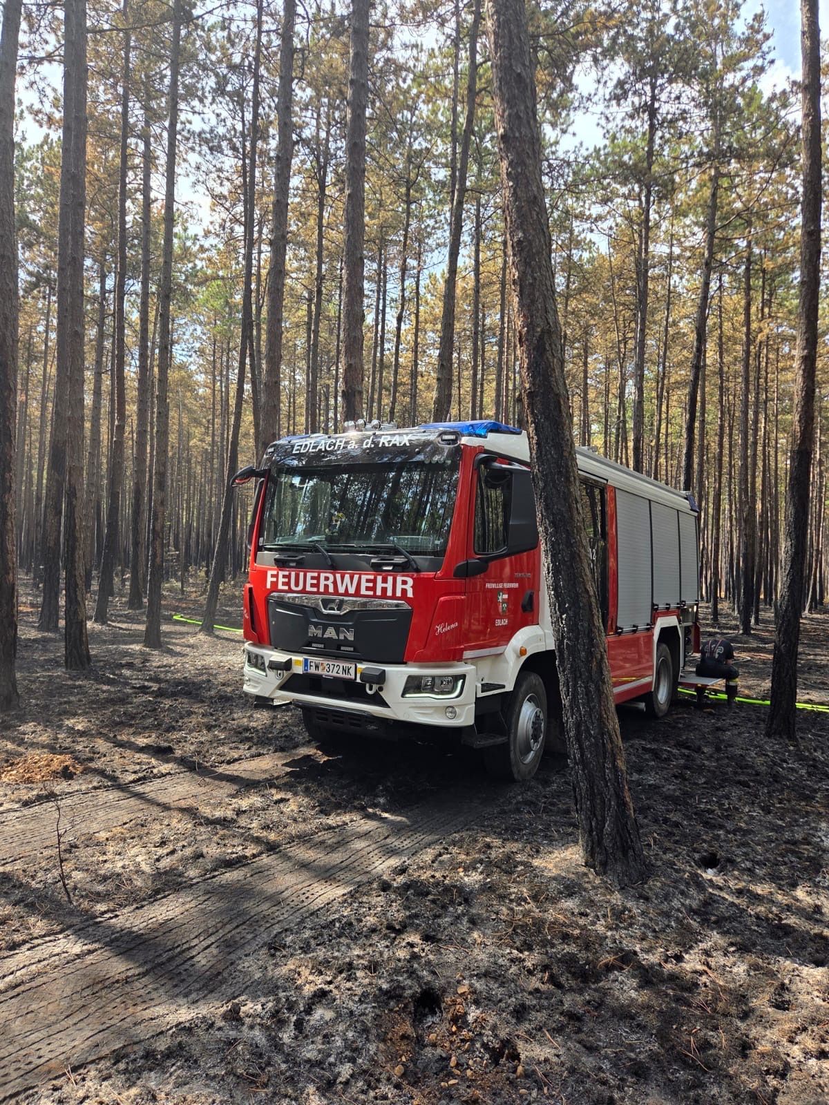 A red fire truck with the word Feuerwehr on the front is parked in a forest with burnt trees. A person is sitting on a bench on the right.