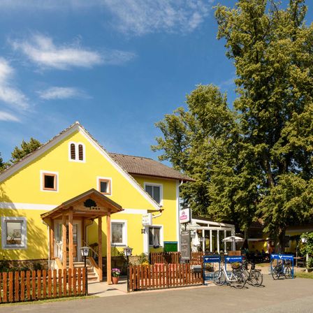Bild enthält, Nature, Outdoors, Yard, Scenery, Person, Bicycle, Neighborhood, Suburb, Picket Fence, Handbag