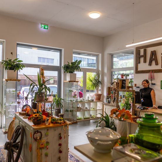 Ein Raum mit weißem Interieur, gefüllt mit verschiedenen Topfpflanzen. An der Wand befindet sich ein Holzschild und eine Frau steht hinter einer Theke. Regale zeigen weitere Pflanzen und dekorative Gegenstände.