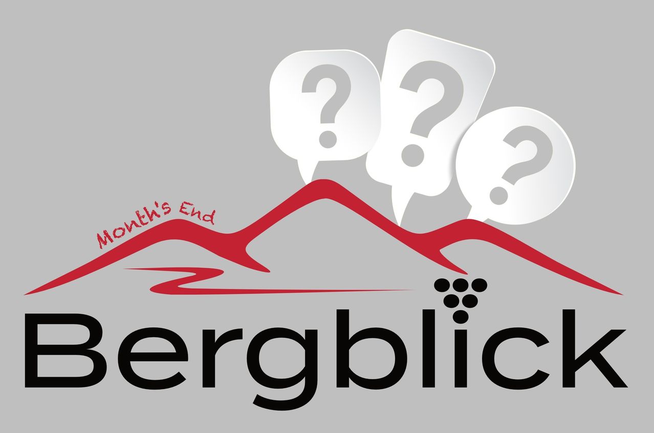 Das Logo für 'erg blic' zeigt einen Berg mit drei Fragezeichen darüber, mit 'Monatsende' in Rot auf der linken Seite geschrieben.