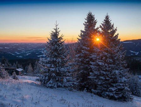 Bild enthält, Tree, Fir, Nature, Outdoors, Scenery, Pine, Conifer, Sky, Vegetation, Landscape