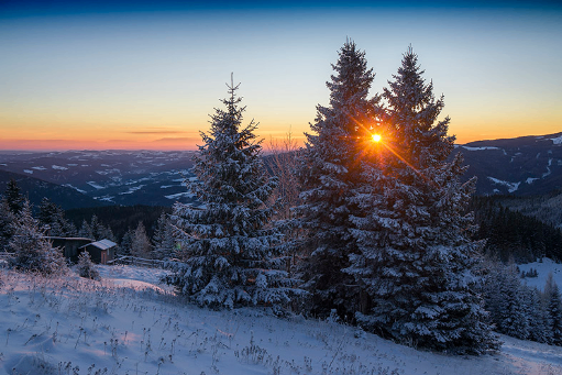 Bild enthält, Tree, Fir, Nature, Outdoors, Scenery, Pine, Conifer, Sky, Vegetation, Landscape