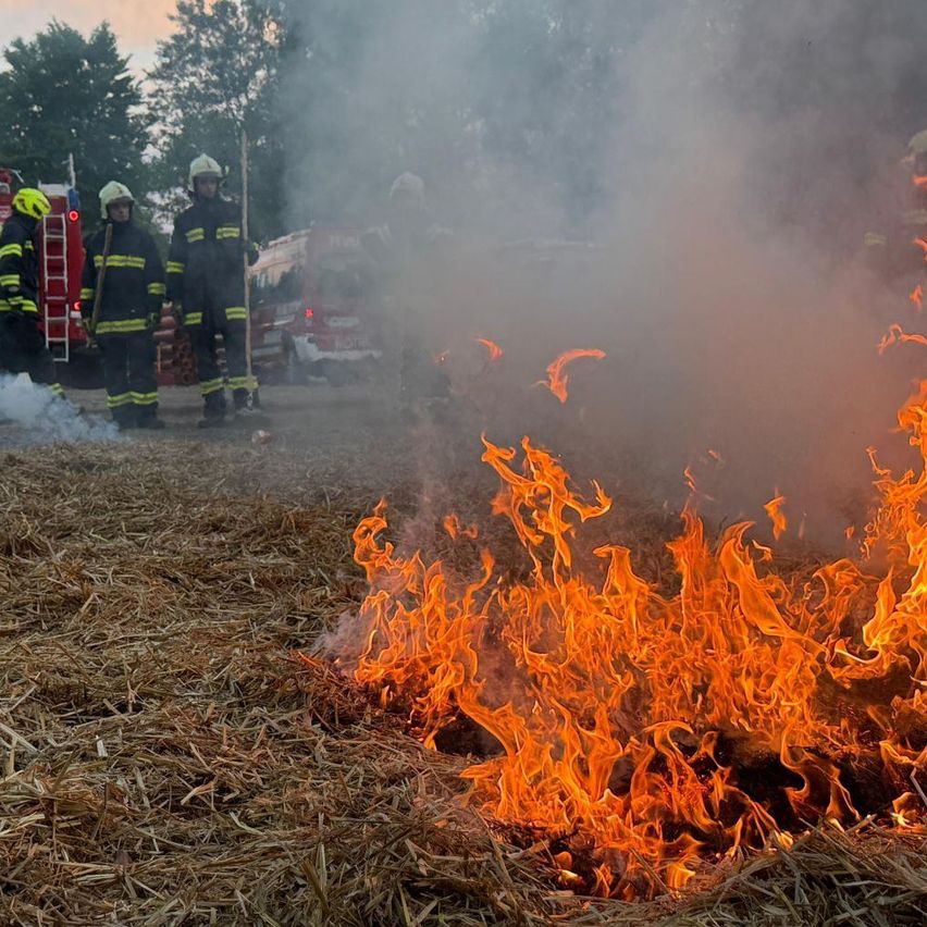 Feuerwehrleute stehen vor einem brennenden Feld, umgeben von Rauch. Ein rotes Feuerwehrauto ist in der Nähe geparkt.