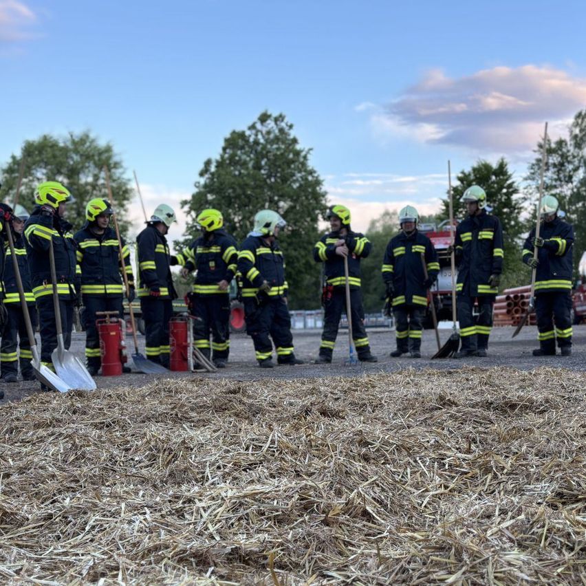 Feuerwehrleute in Schutzkleidung stehen mit Werkzeugen in einer Reihe auf einem Feld, mit Bäumen und einem Feuerwehrwagen im Hintergrund.