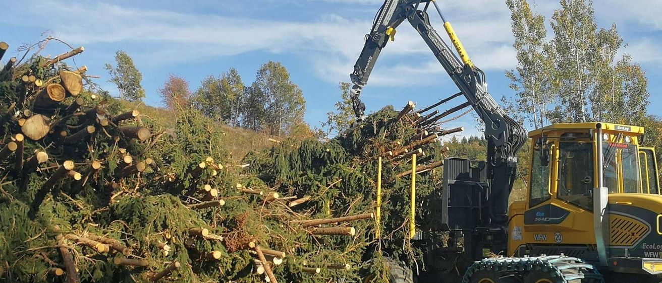 v1_migrated_image_95155731