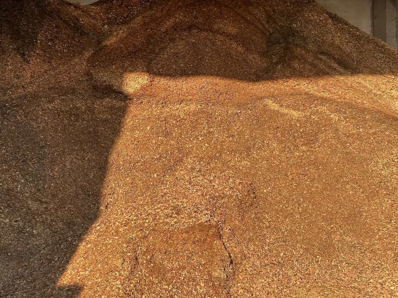 A close-up view of a pile of brown, shredded wood material. It looks like wood mulch.