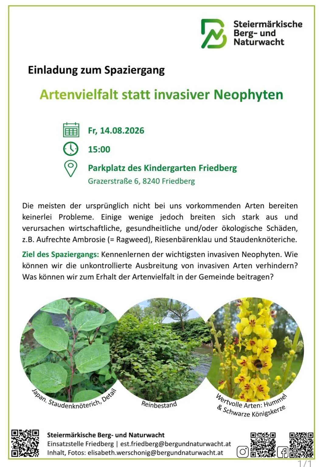 Plakat für einen geführten Spaziergang am 14. August 2026 um 15 Uhr am Parkplatz des Kindergartens Friedberg. Das Plakat betont die Bedeutung der Artenvielfalt gegenüber invasiven Pflanzen und diskutiert wirtschaftliche, gesundheitliche und ökologische Schäden durch invasive Arten.