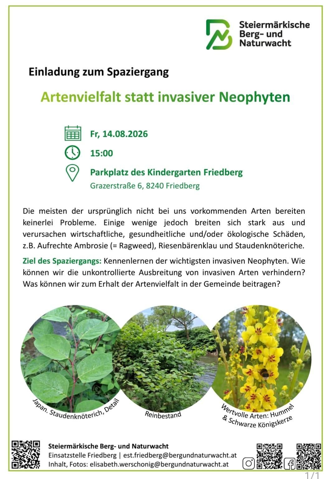 Plakat für einen geführten Spaziergang am 14. August 2026 um 15 Uhr am Parkplatz des Kindergartens Friedberg. Das Plakat betont die Bedeutung der Artenvielfalt gegenüber invasiven Pflanzen und diskutiert wirtschaftliche, gesundheitliche und ökologische Schäden durch invasive Arten.
