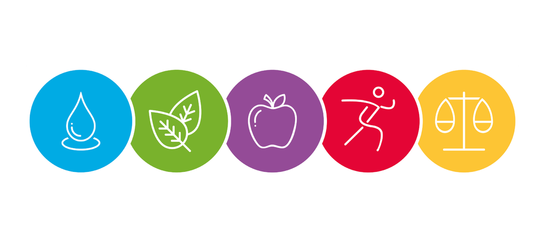 Drei Symbole: ein Blatt, ein Apfel und ein Läufer. Jedes Symbol ist in einem eigenen farbigen Kreis. Die Kreise sind grün, lila und rot.
