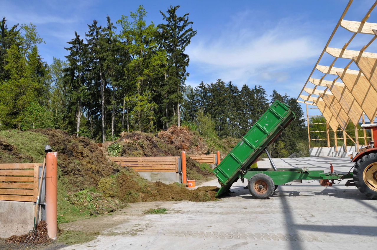 Bild enthält, Wood, Machine, Wheel, Flat Bed Truck, Truck, Vehicle, Person