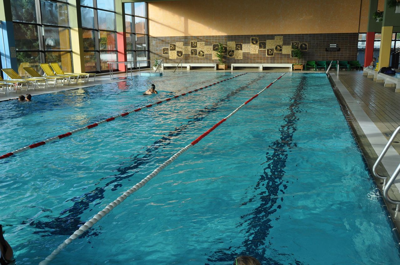 Bild enthält, Water, Hotel, Pool, Swimming Pool, Person, Swimming, Plant, Resort, Chair, Bench