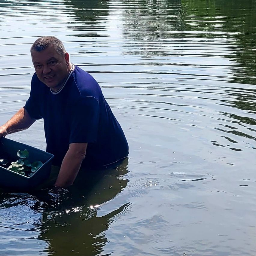 A man in a blue shirt is standing in a lake, holding a container with green plants. He is smiling and appears to be enjoying himself.