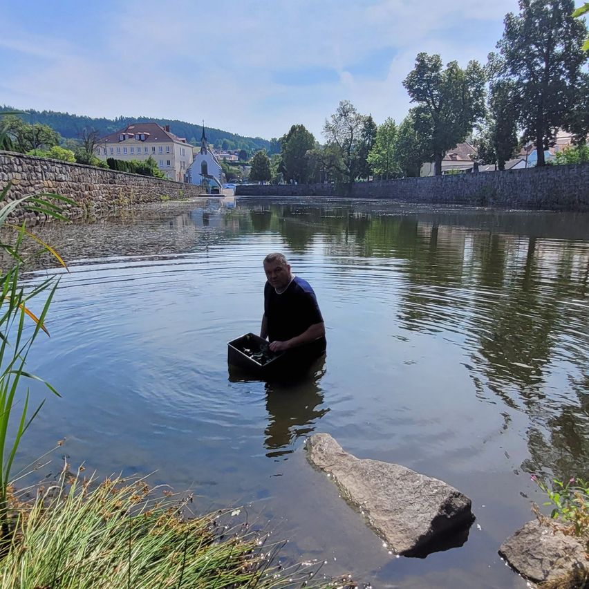 A man in a black shirt is standing in a river, holding a black container, with a stone wall and trees in the background.
