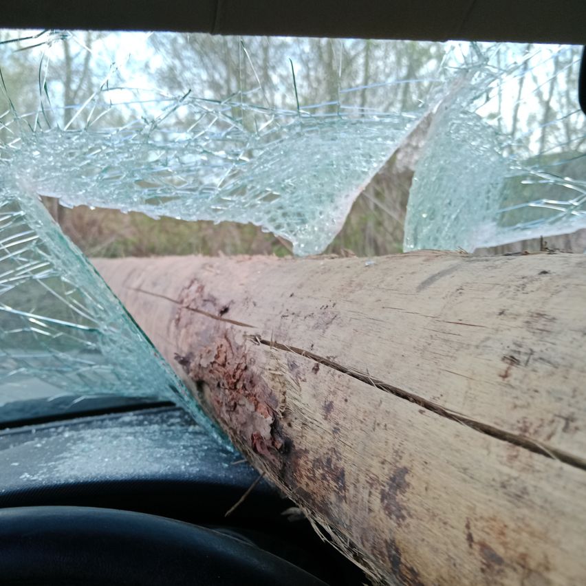 Ein Auto mit einer zerbrochenen Windschutzscheibe und einem Baumstamm darin. Der Baumstamm hat Spuren darauf.