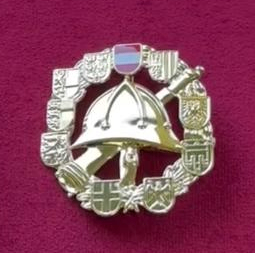 Bild enthält, Badge, Logo, Symbol, Accessories