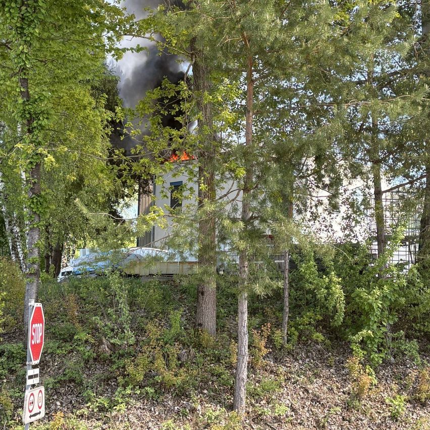 Ein Feuer brennt ein Gebäude, das von Bäumen umgeben ist, mit einem Stoppschild auf der linken Seite.
