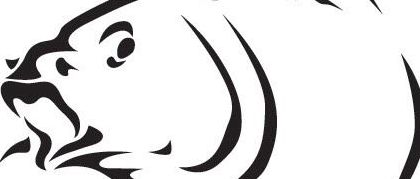 v1_migrated_image_74116707