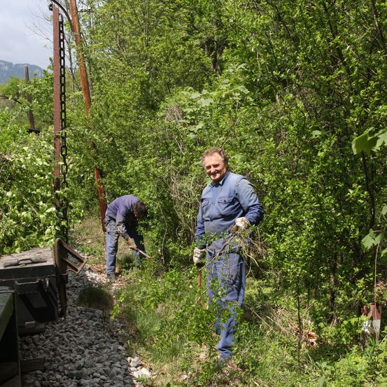 Lichtraumfreischnitt