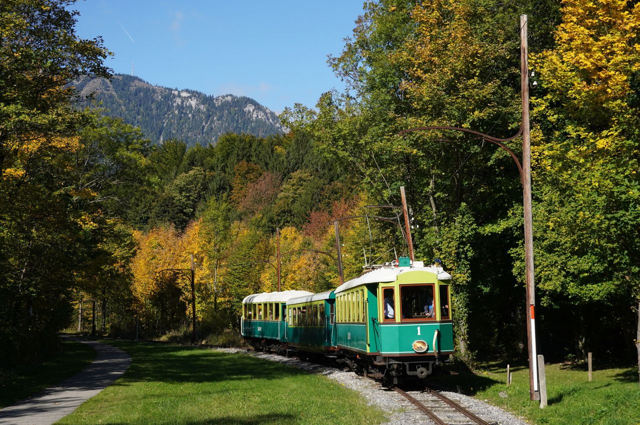 Eine grüne und gelbe Straßenbahn fährt auf den Gleisen, mit Bäumen und einem Berg im Hintergrund. Die Straßenbahn hat Fenster und die Nummer 1 auf der Vorderseite.