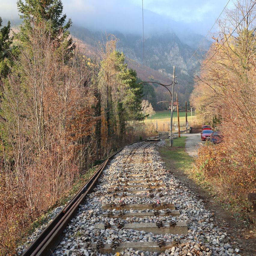 A railway track surrounded by trees, with mountains in the background. Cars are parked nearby on a road.
