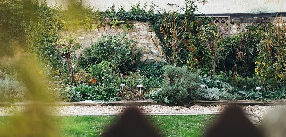 v1_migrated_image_15646038