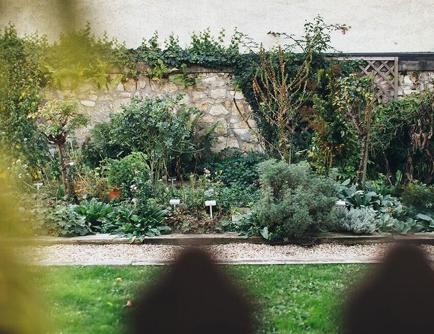 v1_migrated_image_15646038