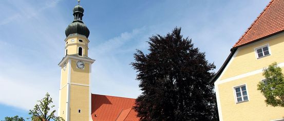 Bell Tower, Tower, Clock Tower, Grass, Monastery, Neighborhood, City, Tree, Housing, Roof