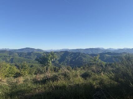 Ein Panoramablick auf ein üppiges grünes Tal mit sanften Hügeln unter einem klaren blauen Himmel.