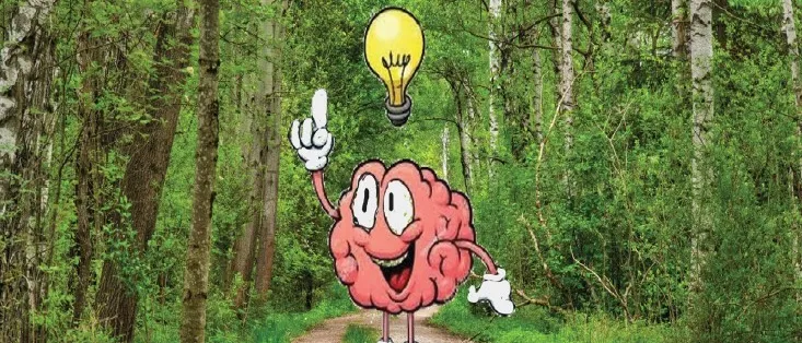 Ein Cartoon-Gehirn mit einer Glühbirne darüber zeigt auf etwas auf einem Waldweg.