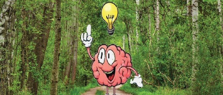 Ein Cartoon-Gehirn mit einer Glühbirne darüber zeigt auf etwas auf einem Waldweg.