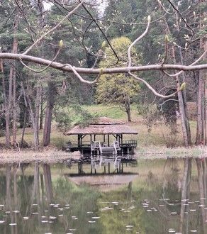 Ein ruhiger See mit einem kleinen hölzernen Pavillon, umgeben von Bäumen und Pflanzen. Die Spiegelungen des Pavillons und der Bäume schimmern auf dem Wasser.