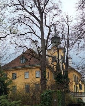 Ein gelbes Villengebäude mit einem braunen Dach und mehreren Fenstern ist von kahlen Bäumen und Grünpflanzen umgeben. Es hat einen Turm an einer Seite.
