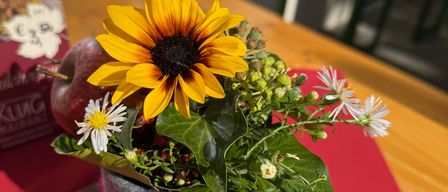 Ein Nahaufnahme einer Sonnenblume und anderer Blumen in einem grauen Topf, auf einem roten Tuch auf einem Holztisch platziert.