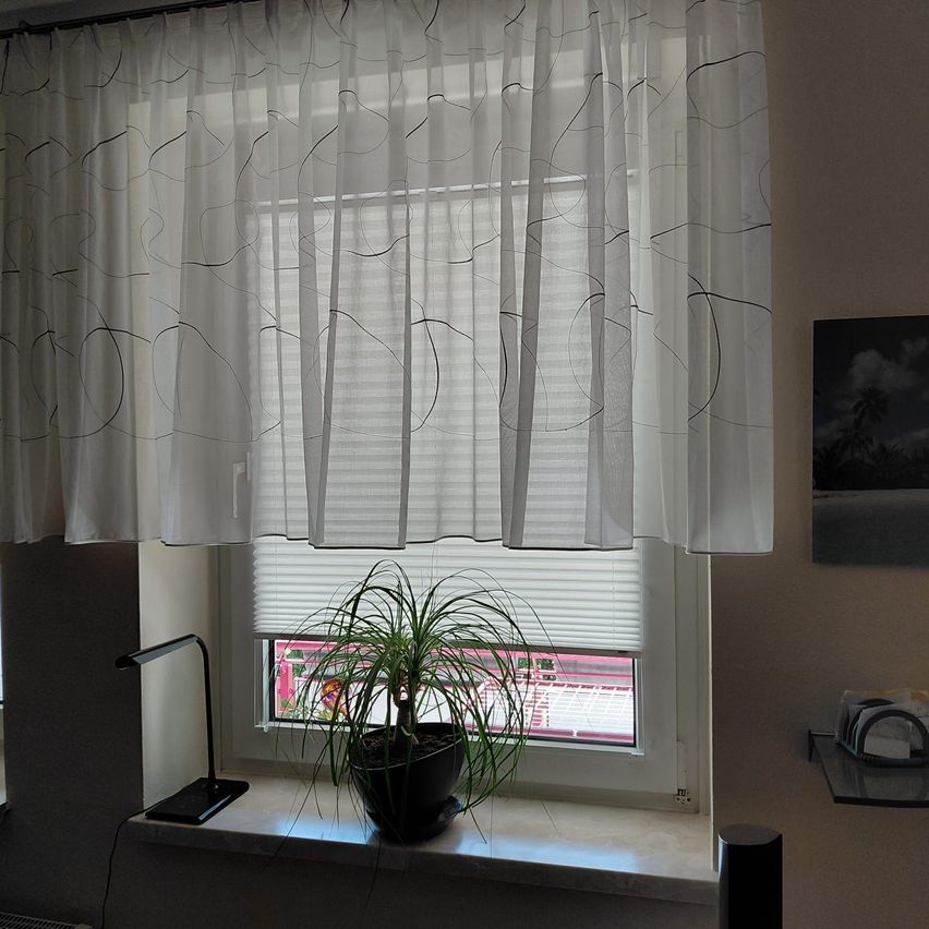 Ein Fenster mit weißen Vorhängen und einer schwarzen Topfpflanze auf der Fensterbank. Es gibt eine Lampe und ein Bild an der Wand.