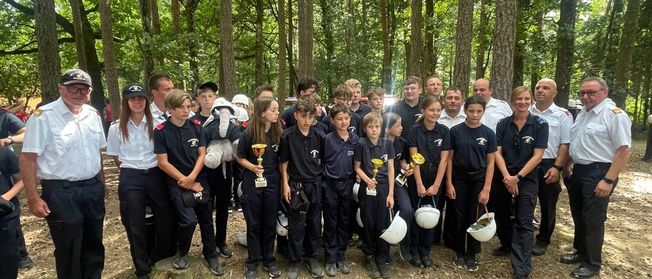 Bild enthält, Grove, Land, Tree, Vegetation, Woodland, People, Grass, Park, Soil, Jungle