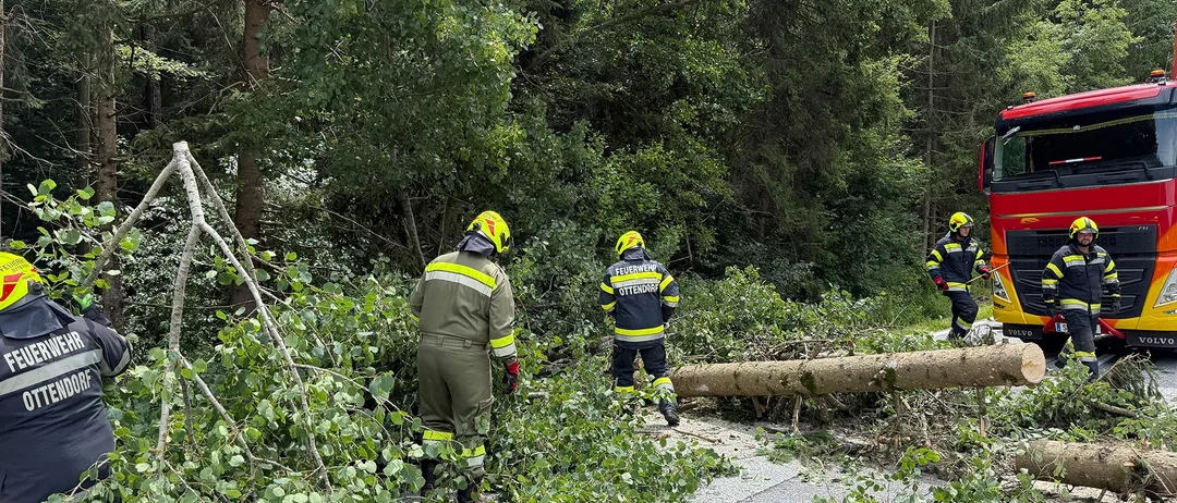 Feuerwehrleute entfernen einen umgestürzten Baum von einer Straße, umgeben von üppiger Grünfläche. Zwei schneiden Äste, ein weiterer steht bei einem Feuerwehrwagen.