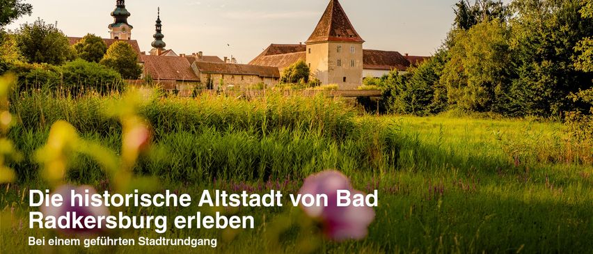 Ein Blick auf die historische Altstadt von Bad Mergentheim mit einem Turm, einem Schloss und einigen Gebäuden mit roten Dächern.