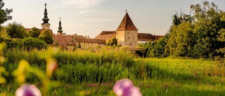 Eine malerische Ansicht einer historischen Stadt mit alten Gebäuden, einem Uhrturm und einem Turm im Hintergrund, umgeben von üppigem Grün und Blumen.