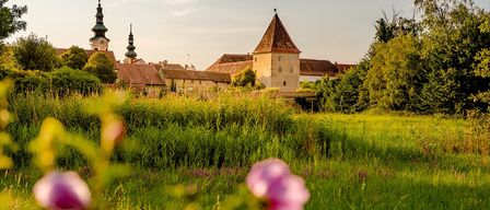 Ein altes Schloss mit spitzen Türmen steht auf einer grünen Wiese. Eine rosa Blume ist im Vordergrund.