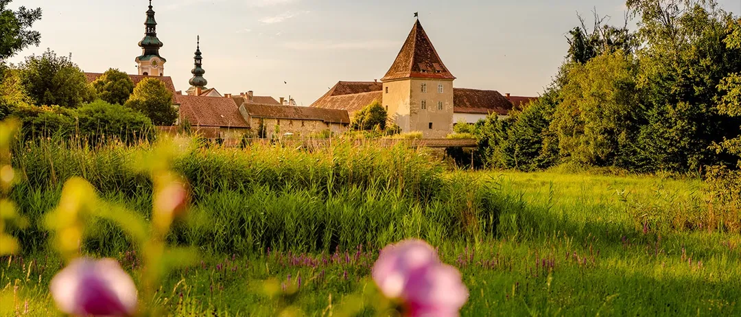 Ein altes Schloss mit spitzen Türmen steht auf einer grünen Wiese. Eine rosa Blume ist im Vordergrund.