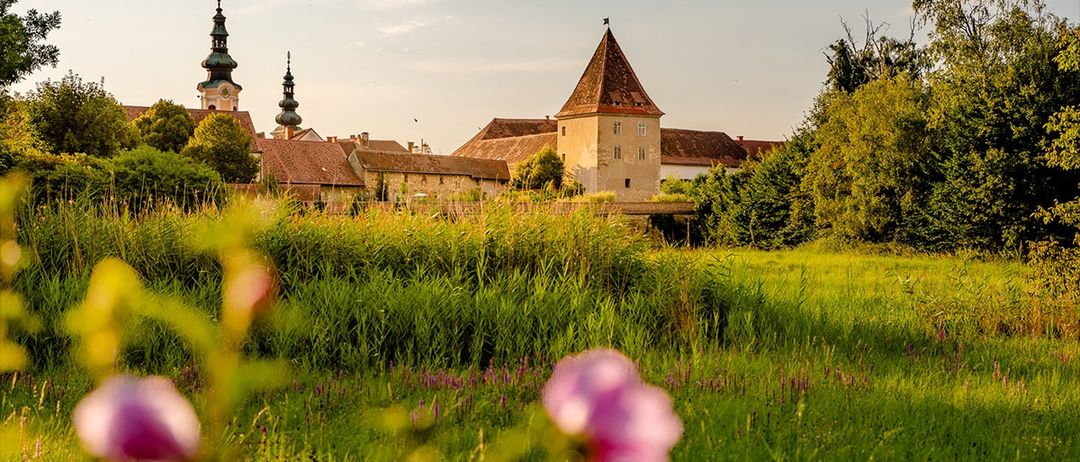 Ein altes Schloss mit spitzen Türmen steht auf einer grünen Wiese. Eine rosa Blume ist im Vordergrund.