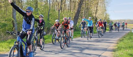 Eine Gruppe von Radfahrern fährt gemeinsam auf einer asphaltierten Straße, umgeben von üppigem Grün. Die Fahrer tragen Helme und Radbekleidung.