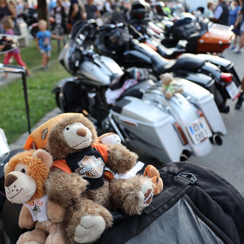 Zwei Teddybären in orangen und schwarzen Harley Davidson-Shirts sitzen auf einem Motorradsitz. Dahinter ist eine Reihe von Motorrädern am Straßenrand geparkt.