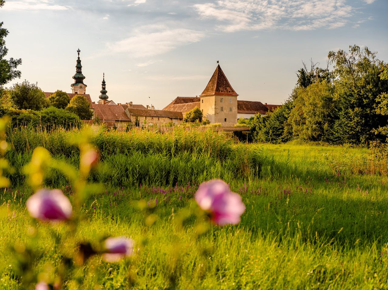Eine malerische Ansicht eines historischen Schlosses mit einem braunen Turm und Türmen, umgeben von üppigem Grün und einem Blumenfeld unter einem bewölkten Himmel.