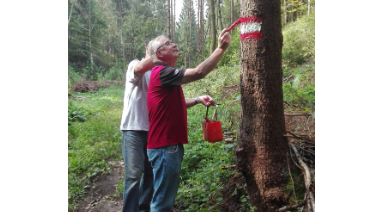 Berg- und Naturwacht Stiwoll-Logo