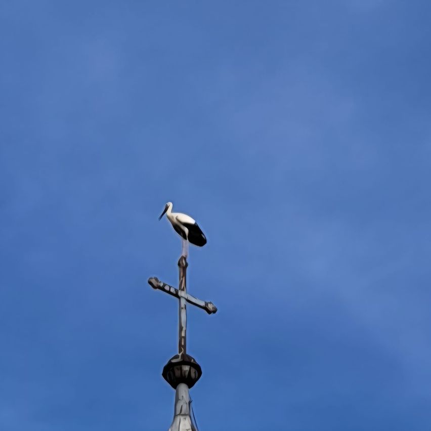 Ein Storch steht auf einem Wetterhahn auf einem Gebäude gegen einen blauen Himmel.