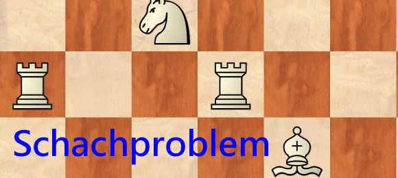 Bild enthält, Chess, Game, Animal, Canine, Dog, Mammal, Pet